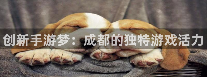 恒盛娱乐：创新手游梦：成都的独特游戏活力