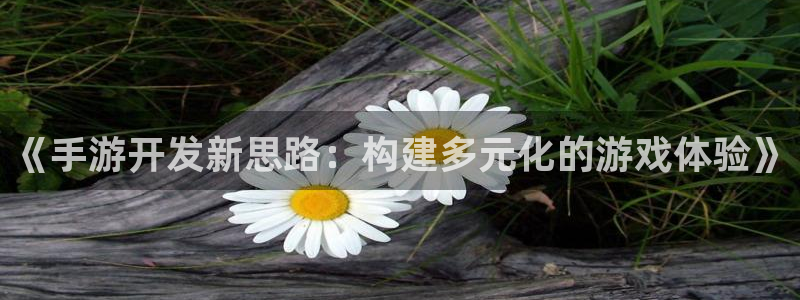 恒盛娱乐登录：《手游开发新思路：构建多元化的游戏体验》