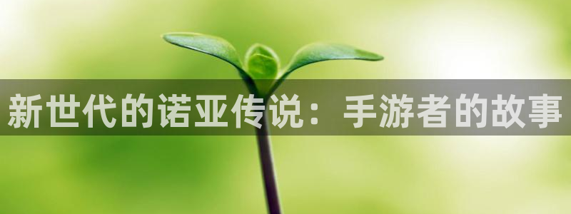 恒盛娱乐app：新世代的诺亚传说：手游者的故事