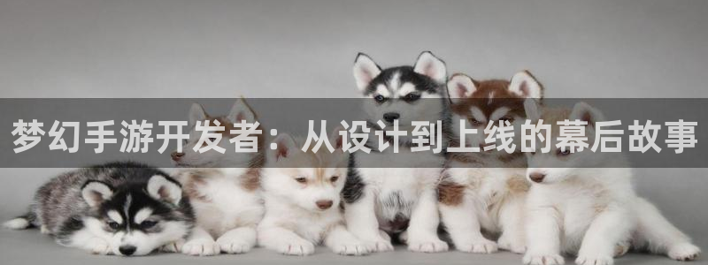恒盛娱乐登陆：梦幻手游开发者：从设计到上线的幕后故事