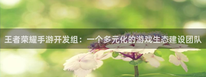 恒盛娱乐首页：王者荣耀手游开发组：一个多元化的游戏生态建设团