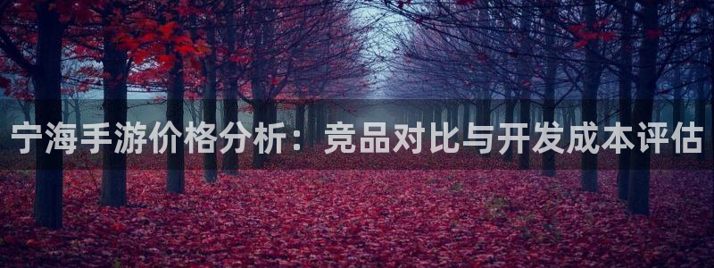 恒盛娱乐首页：宁海手游价格分析：竞品对比与开发成本评估
