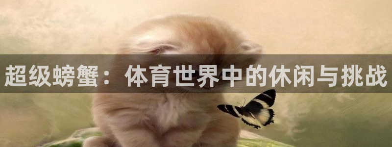 77体育
