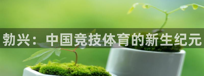 77体育官网