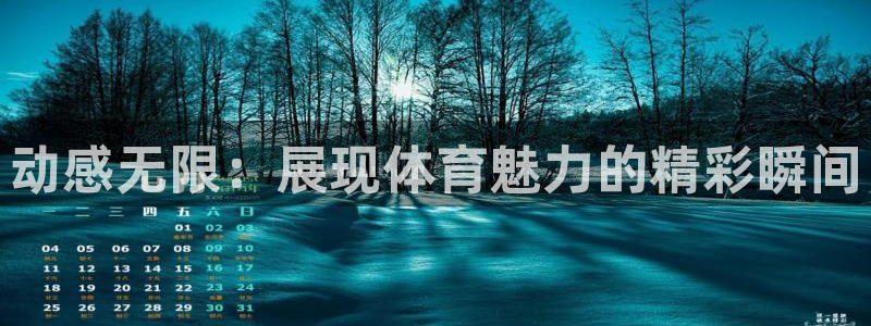 77体育app下载官网